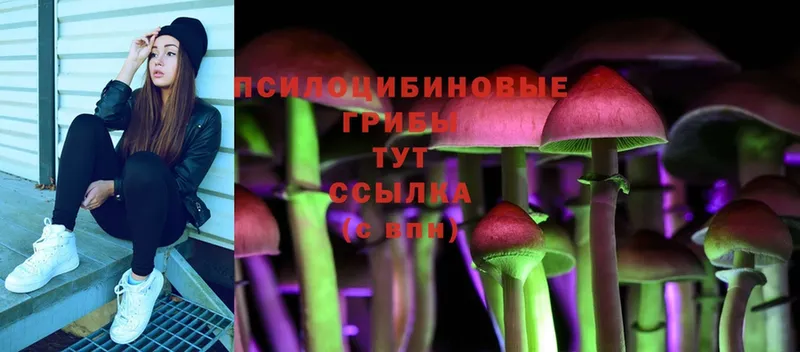 Галлюциногенные грибы Cubensis  Дюртюли 